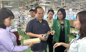 Đoàn đại biểu Quốc hội giám sát việc thực hiện chính sách, pháp luật về đầu tư đối với doanh nghiệp có vốn đầu tư nước ngoài tại Công ty TNHH Tiger Việt Nam