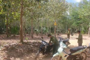 Phát hiện 121 vụ vi phạm luật lâm nghiệp