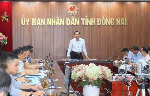 Sớm hoàn thành thủ tục đưa 18 khu đất ra đấu giá