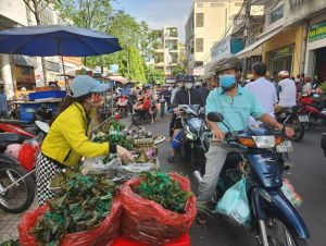 Thị trường phục vụ Tết Đoan Ngọ khá nhộn nhịp