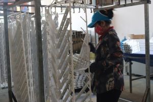 Thu hút đầu tư tư nhân cho phát triển