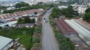 Cần tăng cường bảo vệ môi trường ở Khu công nghiệp Biên Hòa 1 giai đoạn chuyển đổi công năng