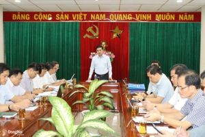 Đồng Nai khẩn trương thành lập Tổ công tác tháo gỡ các vướng mắc trong thanh lý cây và giải phóng mặt bằng đất cao su
