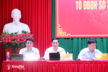 Tổ Đại biểu Quốc hội đơn vị số 3 tiếp xúc cử tri tại xã An Phước