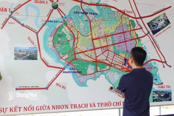 Đồng Nai triển khai chiến dịch làm sạch dữ liệu đất đai tại...