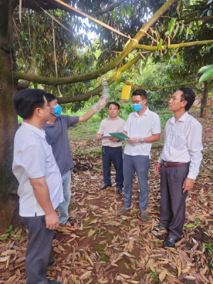 SẦU RIÊNG LONG BÌNH SẴN SÀNG VƯƠN RA THẾ GIỚI!