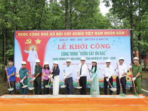 trong cây