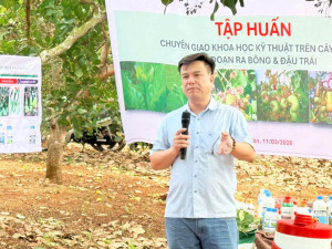 XÃ BÌNH TÂN TỔ CHỨC TẬP HUẤN CHUYỂN GIAO KHOA HỌC KỸ THUẬT TRÊN CÂY ĐIỀU GIAI ĐOẠN RA BÔNG, ĐẬU TRÁI