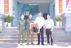 Xã Bom Bo tiếp nhận cá thể Vượn đen má trắng