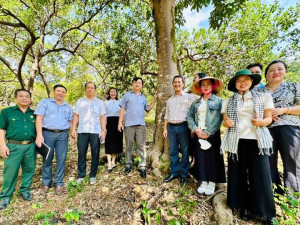 XÃ BOM BO TỔ CHỨC KHẢO SÁT MỘT SỐ ĐỊA ĐIỂM XÂY DỰNG SẢN PHẨM VÀ PHÁT TRIỂN THƯƠNG HIỆU OCOP TRÊN ĐỊA BÀN