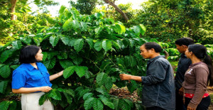 HIỆU QUẢ TỪ NGUỒN VỐN TÍN DỤNG CHÍNH SÁCH – TIẾP THÊM ĐỘNG LỰC CHO ĐỒNG BÀO DÂN TỘC THIỂU SỐ VƯƠN LÊN THOÁT NGHÈO