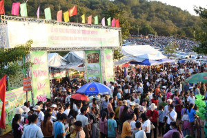 Bom Bo mùa xuân về