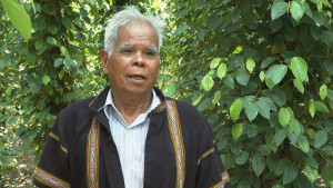 Già làng Điểu Lên – Du kích sóc Bom Bo được phong danh hiệu Dũng sĩ diệt Mỹ - Ngụy