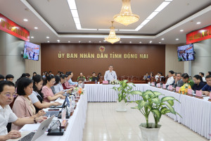 Phó Chủ tịch UBND tỉnh Lê Trường Sơn phát biểu tại hội nghị.