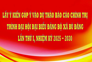 BANNER GOP Y