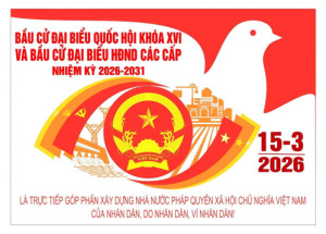 Các tài liệu về cuộc Bầu cử Đại biểu Quốc hội khóa XVI và Đại biểu HĐND các cấp nhiệm kỳ 2026 - 2031