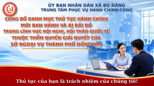Công bố Danh mục thủ tục hành chính trong lĩnh vực Văn phòng đại diện của các tổ chức hợp tác, nghiên cứu của nước ngoài tại Việt Nam thuộc thẩm quyền giải quyết của Sở Ngoại vụ thành phố Đồng Nai