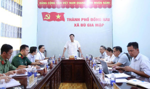 BAN CHỈ ĐẠO PHÁT TRIỂN KHOA HỌC, CÔNG NGHỆ, ĐỔI MỚI SÁNG TẠO...