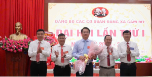 ĐHĐB CƠ QUAN