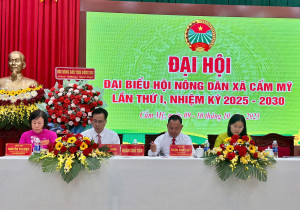 DH nông dân trù bị 1