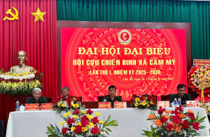 ĐHĐB HCCB 1
