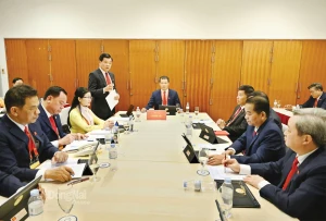 3 20260121071556 (1)