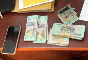 CA NGĂN LỪA ĐẢO 2 jpg