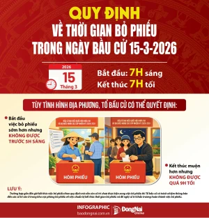 [Infographic] Bỏ phiếu trong khung thời gian nào là đúng quy định?