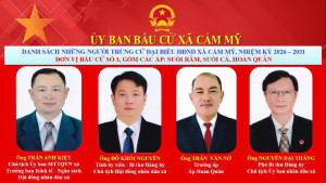 Ủy ban bầu cử xã Cẩm Mỹ công bố kết quả bầu cử đại biểu HĐND...