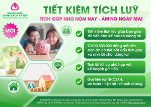 HỘI CỰU CHIẾN BINH XÃ CẨM MỸ PHÁT HUY PHẨM CHẤT “BỘ ĐỘI CỤ HỒ” TRONG THỜI BÌNH QUA CHƯƠNG TRÌNH TIẾT KIỆM TÍCH LŨY TẠI NGÂN HÀNG CHÍNH SÁCH XÃ HỘI