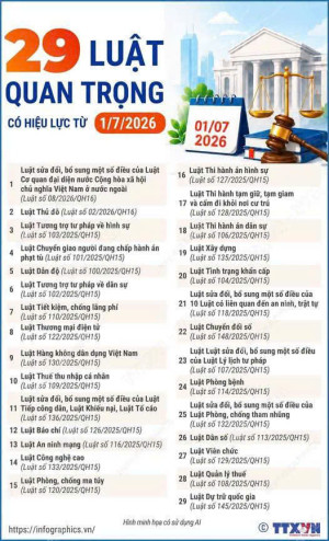 29 LUẬT QUAN TRỌNG