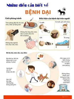 Xã Cẩm Mỹ tăng cường phòng, chống bệnh Dại trên người  năm...