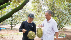 NGHE HAI TRAI THOI VU KIEM BAC TRIEU