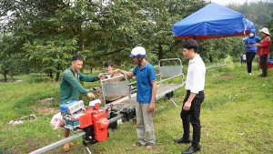 Tàu một ray – giải pháp giảm sức lao động trong sản xuất sầu riêng vùng đồi dốc