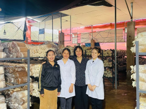 Cẩm Mỹ thúc đẩy bình đẳng giới trong đời sống gia đình,...