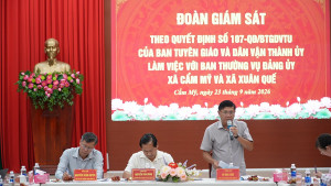 Đoàn giám sát của Ban Tuyên giáo và Dân Vận Thành ủy Đồng...