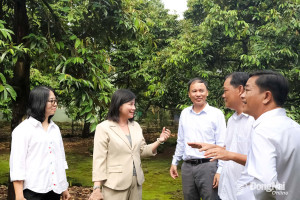 Đồng Nai là mô hình điểm xây dựng nông thôn mới của cả nước