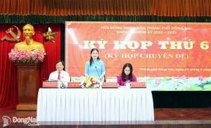 HĐND thành phố Đồng Nai thông qua 14 nghị quyết tại Kỳ họp...
