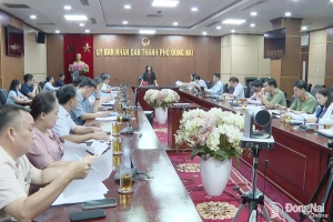 Đồng Nai: Đẩy nhanh tiến độ 6 xã phấn đấu về đích nông thôn...