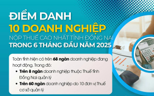 10 doanh nghiệp nộp thuế cao nhất tỉnh Đồng Nai trong 6 tháng đầu năm 2025
