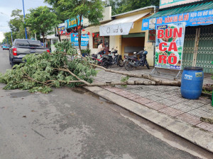 Khắc phục kịp thời cây xanh gãy, đổ do gió mạnh xảy ra, đảm bảo an toàn giao thông