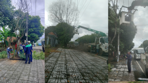 Trung tâm Dịch vụ Tổng hợp phường Chơn Thành, đảm bảo an toàn trong quản lý cây xanh đô thị