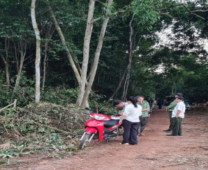 PHÒNG KINH TẾ, HẠ TẦNG VÀ ĐÔ THỊ PHỐI HỢP THỰC HIỆN CÔNG TÁC TUẦN TRA, KIỂM TRA BẢO VỆ RỪNG TRÊN ĐỊA BÀN PHƯỜNG