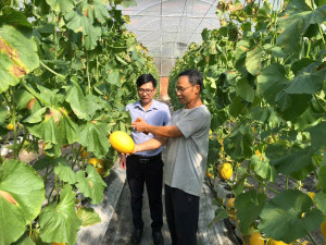 HỘI NÔNG DÂN PHƯỜNG CHƠN THÀNH THAM QUAN CÁC MÔ HÌNH NÔNG NGHIỆP ĐÔ THỊ TRÊN ĐỊA BÀN PHƯỜNG