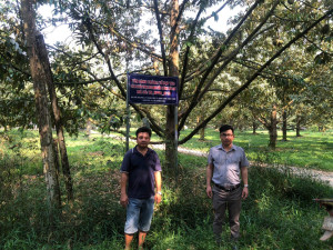 HỘI NÔNG DÂN PHƯỜNG CHƠN THÀNH THĂM MÔ HÌNH TỔ HỢP TÁC SẦU...