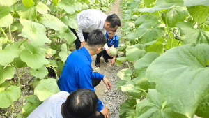 Tuổi trẻ Chơn Thành: Tấm gương thanh niên khởi nghiệp, lập nghiệp tiêu biểu