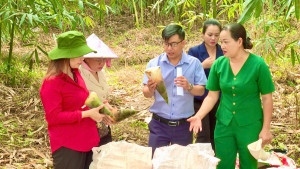 LÃNH ĐẠO PHƯỜNG VÀ HỘI NÔNG DÂN PHƯỜNG CHƠN THÀNH THĂM MÔ...
