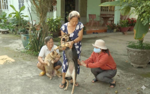 TUYÊN TRUYỀN: PHÒNG CHỐNG BỆNH DẠI, TRÊN ĐỊA BÀN PHƯỜNG CHƠN THÀNH