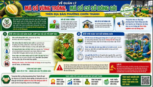 TUYÊN TRUYỀN: VỀ QUẢN LÝ MÃ SỐ VÙNG TRỒNG, MÃ SỐ CƠ SỞ ĐÓNG GÓI TRÊN ĐỊA BÀN PHƯỜNG CHƠN THÀNH