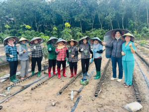 HỘI VIÊN CHI HỘI PHỤ NỮ KHU PHỐ THÀNH TÂM THỰC HIỆN ĐỔI CÔNG GIÚP NHAU TRỒNG CÂY GIỐNG